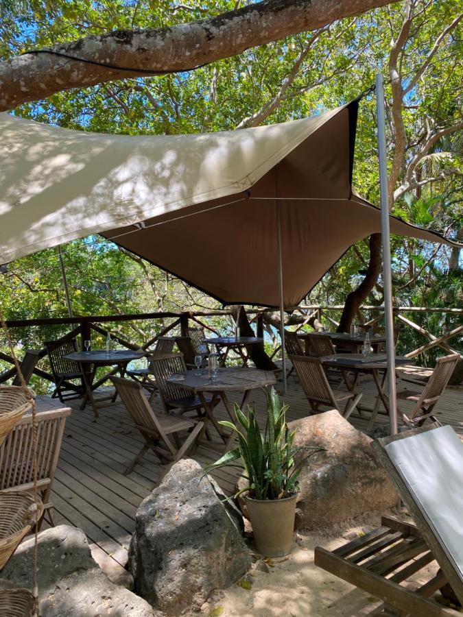Otentic, Eco Tent Experience Grand River South East Экстерьер фото