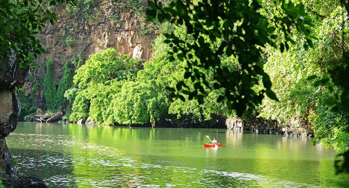 Otentic, Eco Tent Experience Grand River South East Экстерьер фото