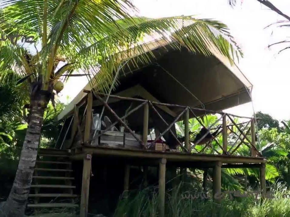Otentic, Eco Tent Experience Grand River South East Экстерьер фото